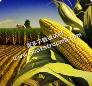 便捷下载，极速体验 - C7娱乐体育APP